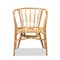 Baxton Studio Luxio Modern and Contemporary Natural Finished Rattan Chair 185-11870-Zoro - alternate 8